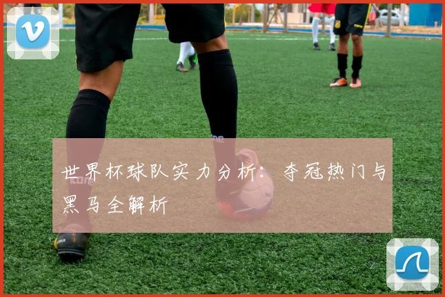 世界杯球队实力分析:夺冠热门与黑马全解析