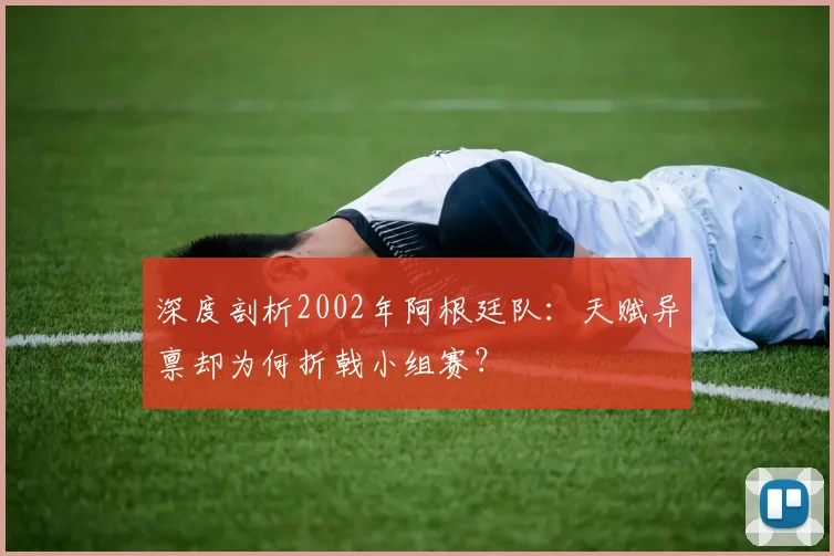 深度剖析2002年阿根廷队:天赋异禀却为何折戟小组赛?