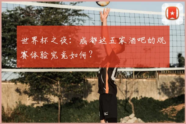 世界杯之夜：成都这五家酒吧的观赛体验究竟如何？