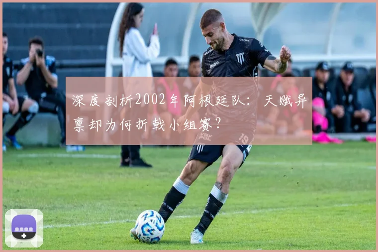 深度剖析2002年阿根廷队:天赋异禀却为何折戟小组赛?