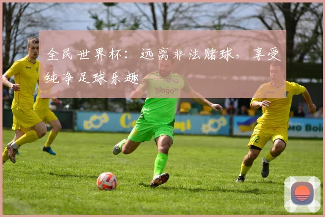 全民世界杯：远离非法赌球，享受纯净足球乐趣