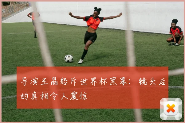 导演王晶怒斥世界杯黑幕：镜头后的真相令人震惊
