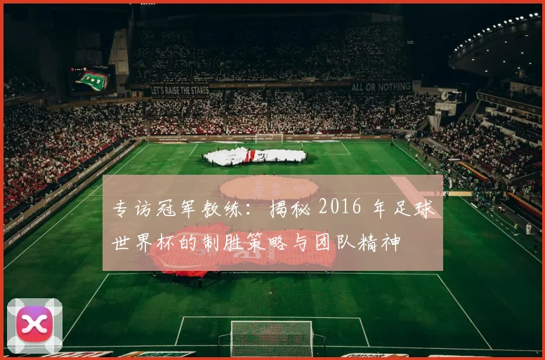 专访冠军教练：揭秘 2016 年足球世界杯的制胜策略与团队精神